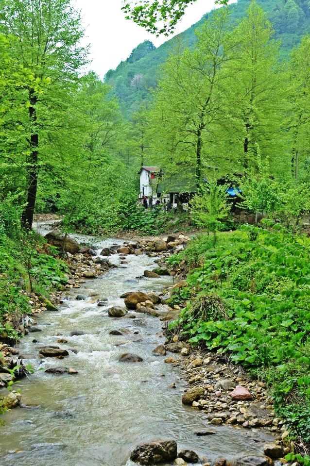 Akçakoca Aktaş Waterfall Nature Walking Trail