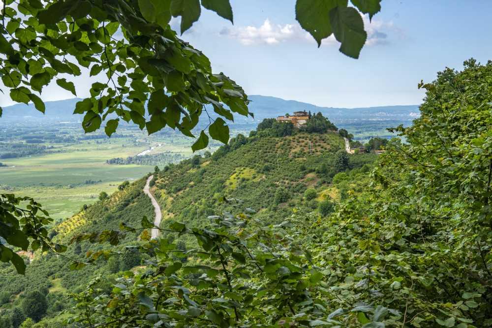 Gölyaka Nature Walking Trails