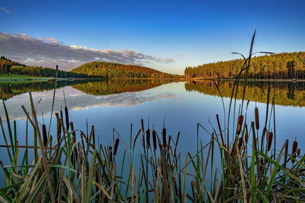 Kaynaşlı Nature Walking Trails