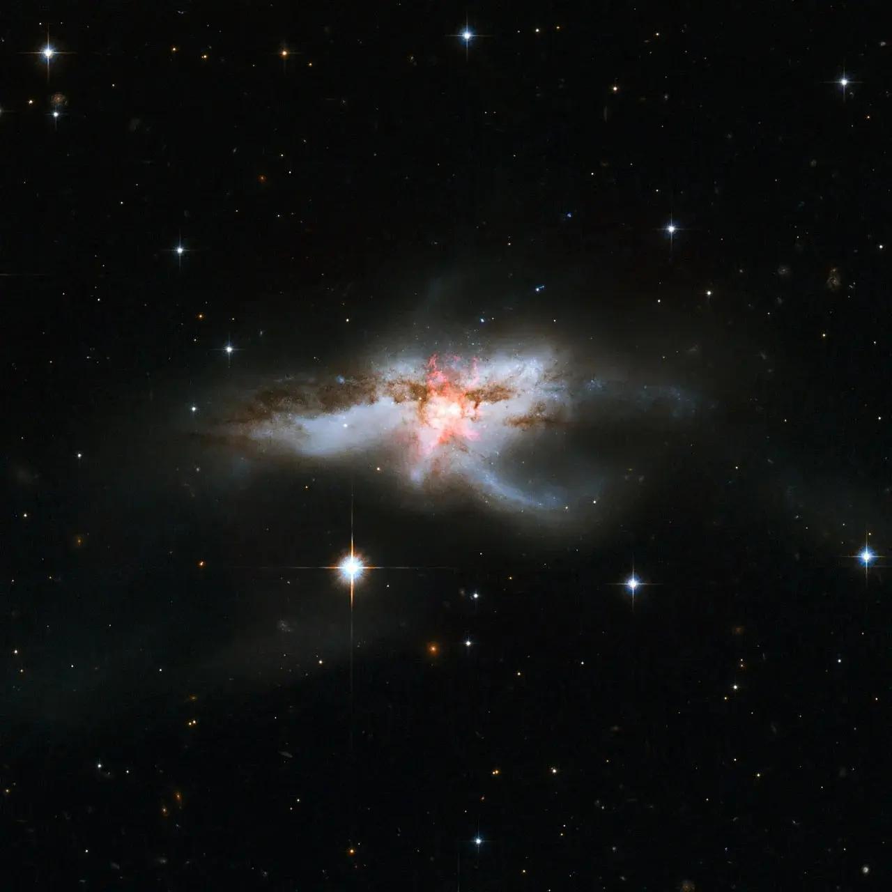 NGC 6240 Galaxy