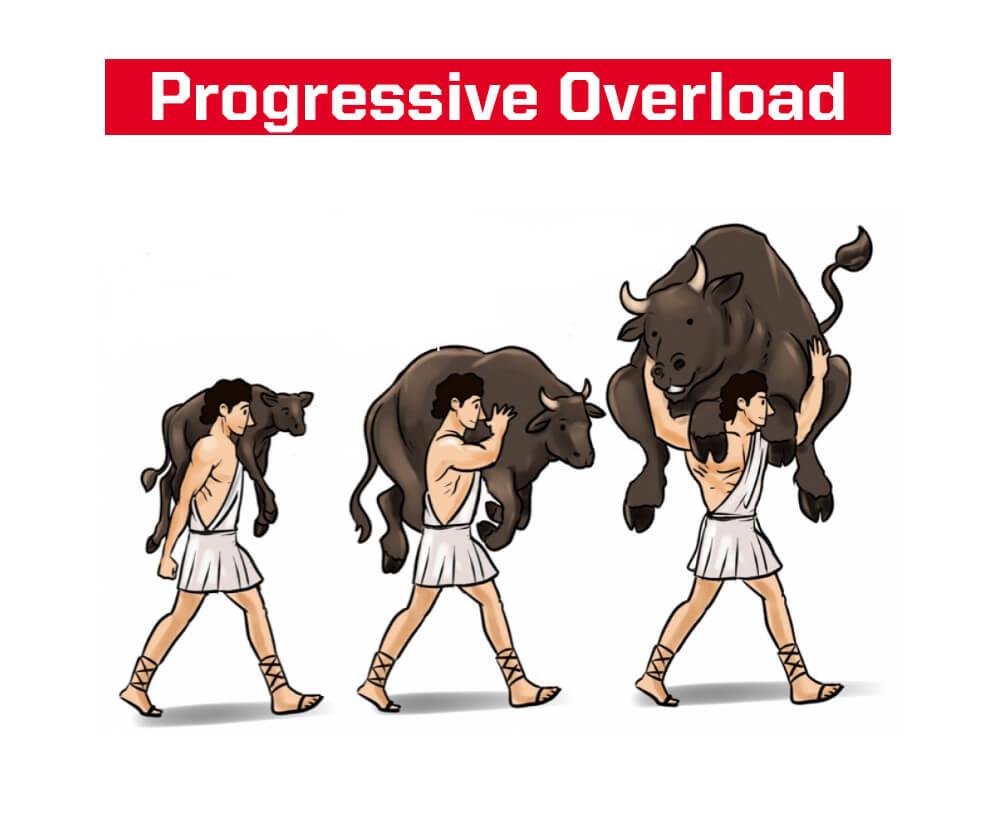 Muscle Growth and the Principle of Progressive Overload