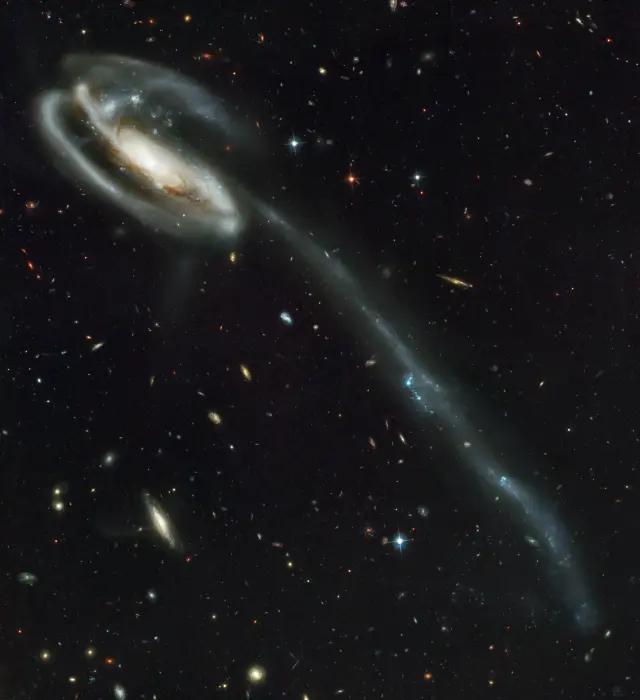 Tadpole Galaxy