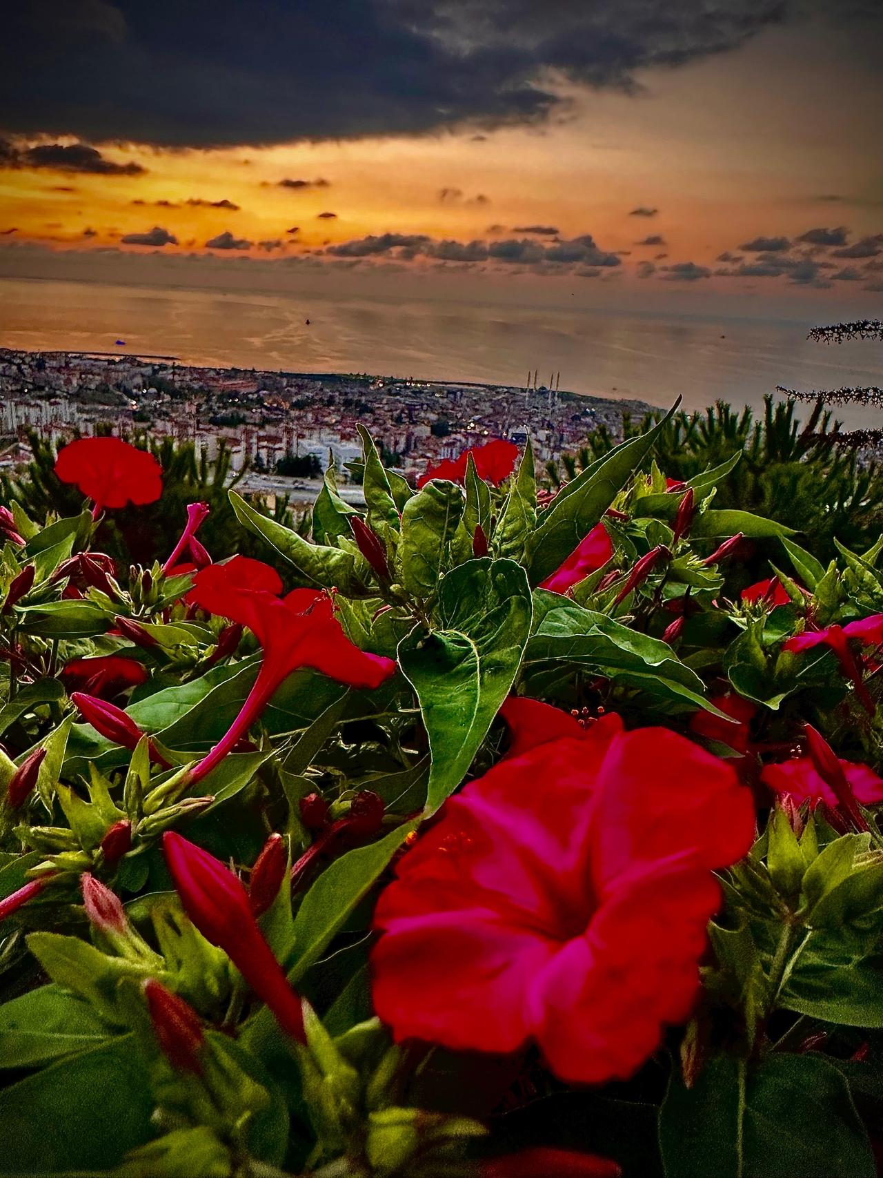 Boztepe (Trabzon)