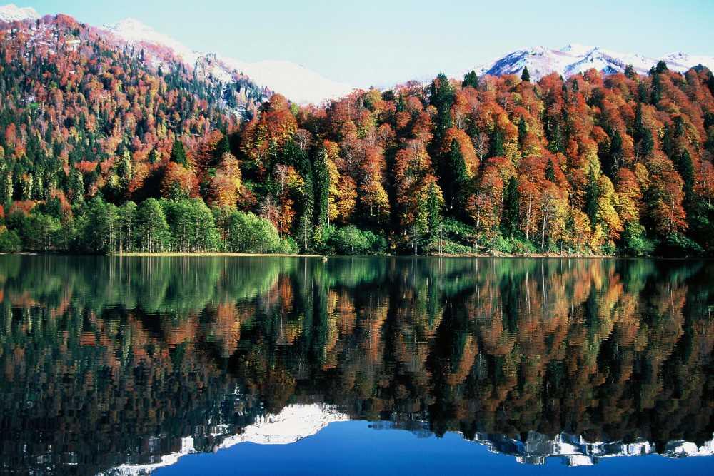 Borçka (District)