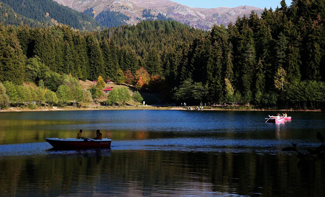 Şavşat (District)