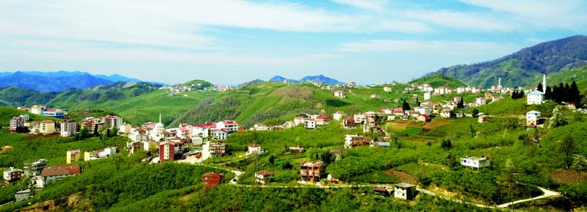 Güce (District)
