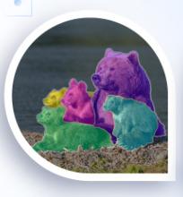 Image Processing Techniques
