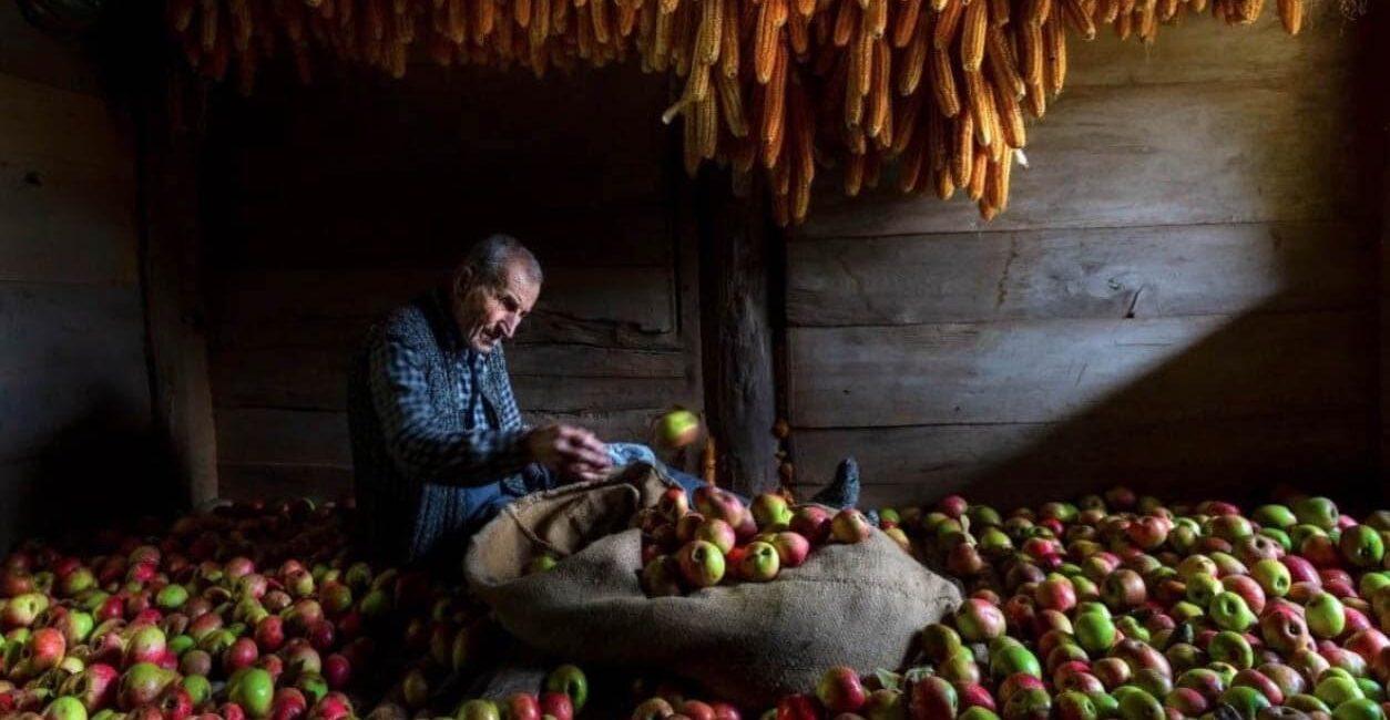 Borçka Iron Apple
