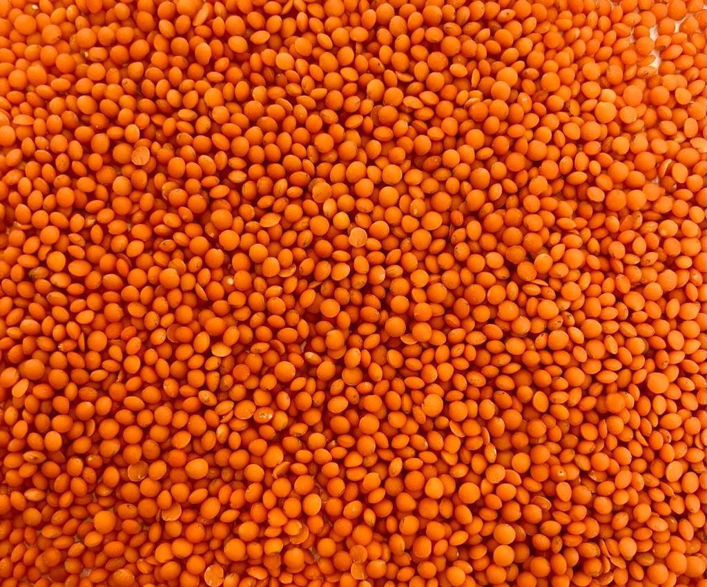 Kızıltepe Red Lentil