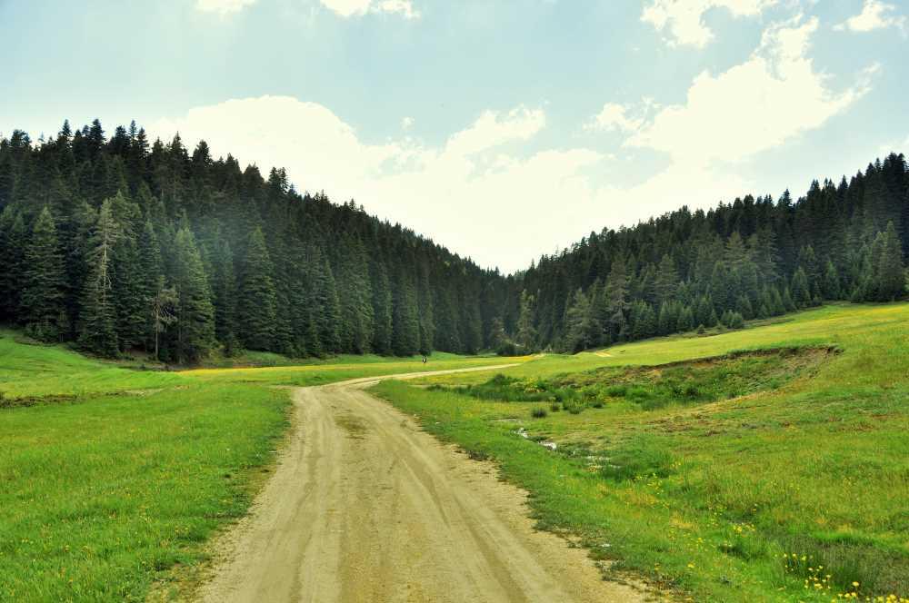 Kocayayla (Düzce)