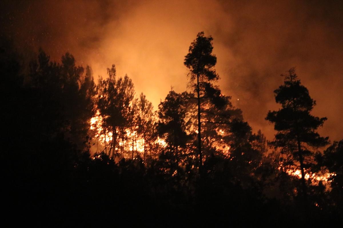 Latakia Forest Fires (July 2025)