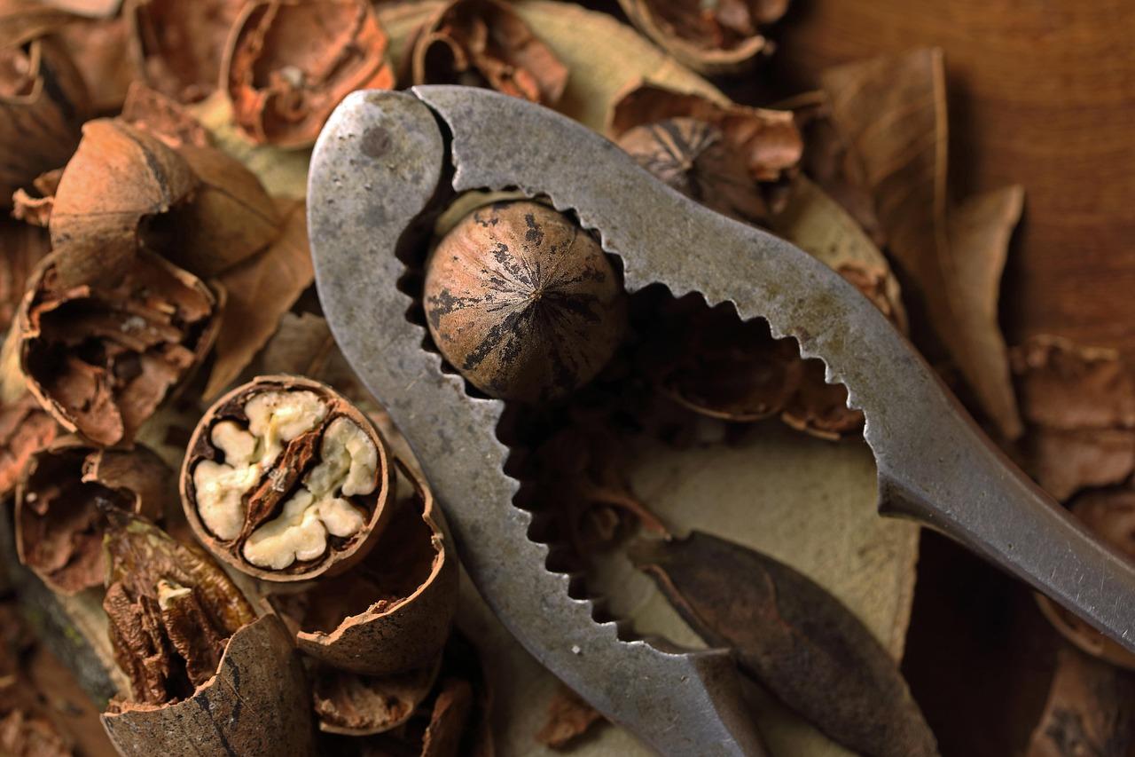 Çatak Walnut