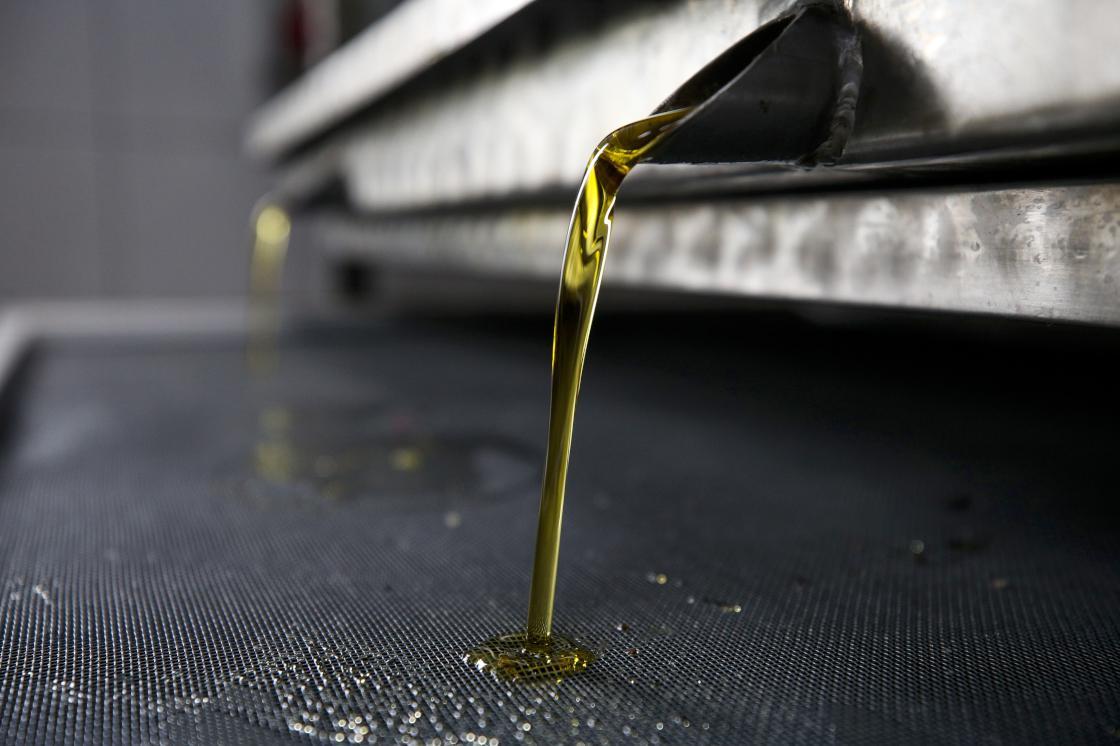 Deer Oil