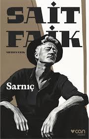 Sarnıç (Kitap)