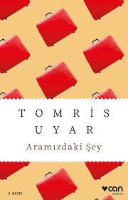 Aramızdaki Şey (Kitap)