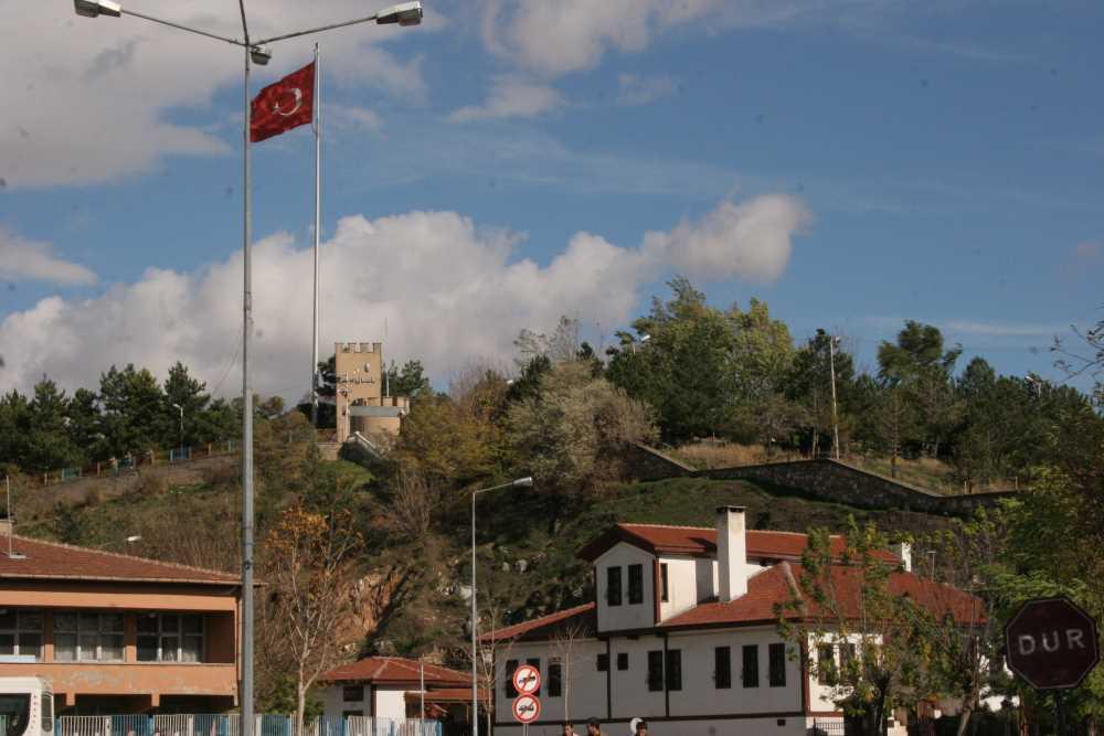 Sivas Castle