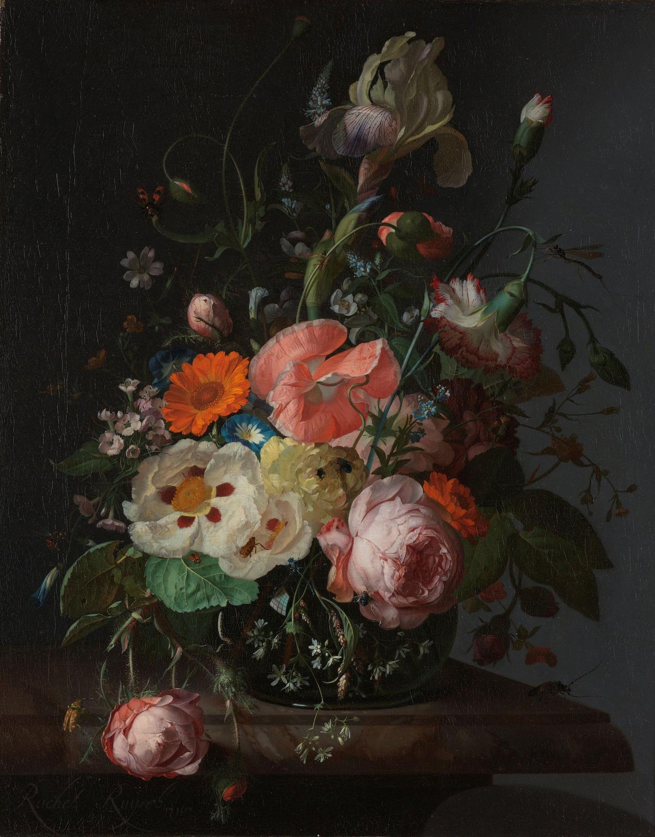 Still Life