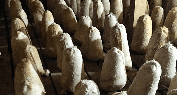 Karaman Divle Obruğu Tulum Cheese