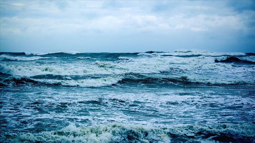 World Oceans Day