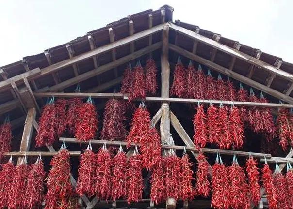 Çukurören Pepper
