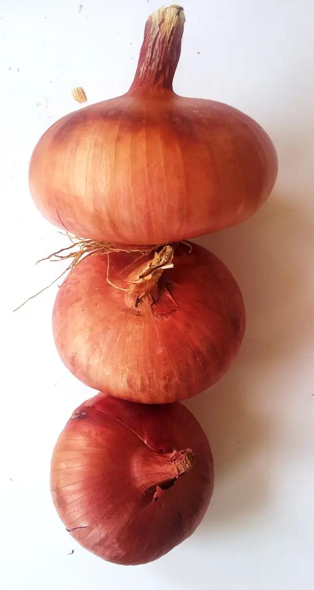 Kırıkkale Kılıçlar Onion