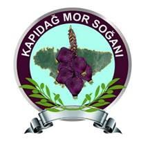 Kapıdağ Purple Onion