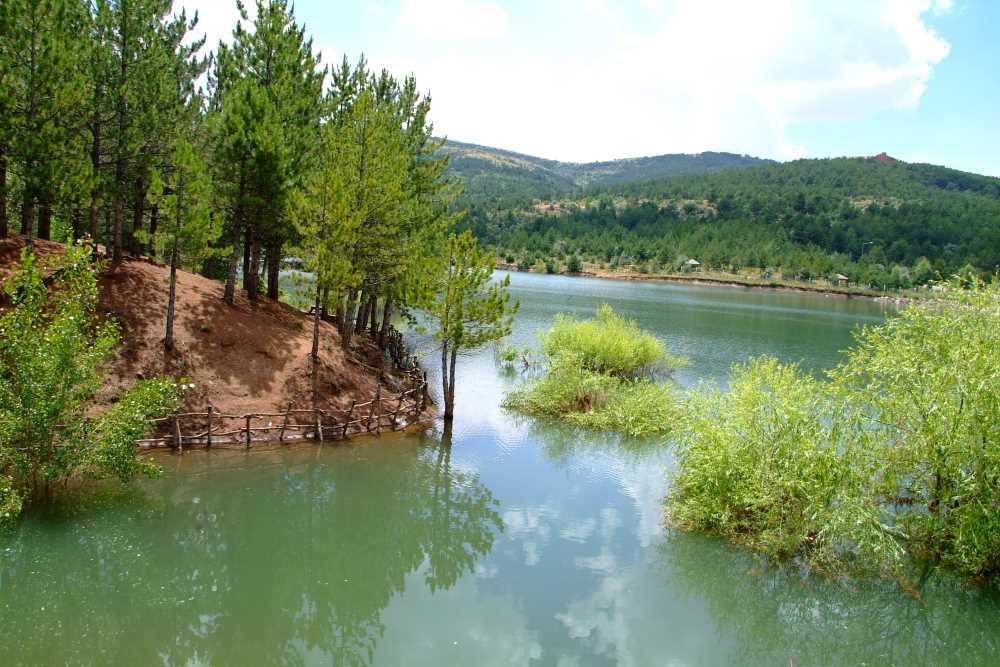 Yozgat Çamlığı National Park