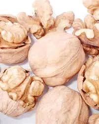 Kaman Walnut