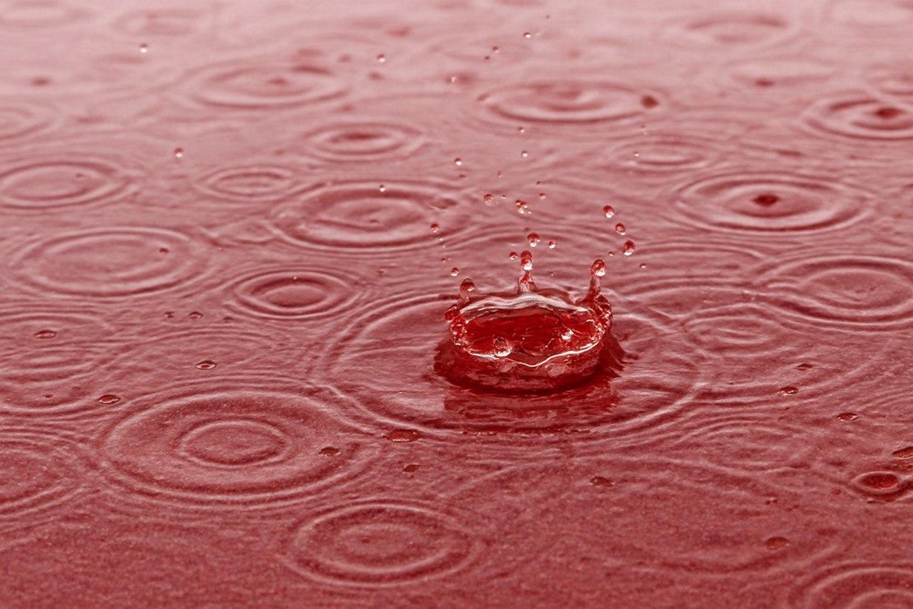 Blood Rain