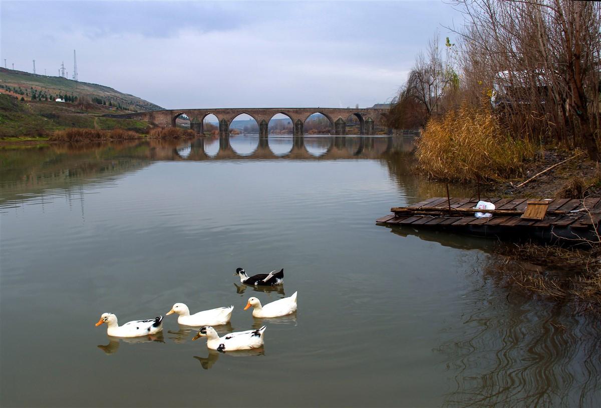 on-gozlu-kopru-_5_.jpg