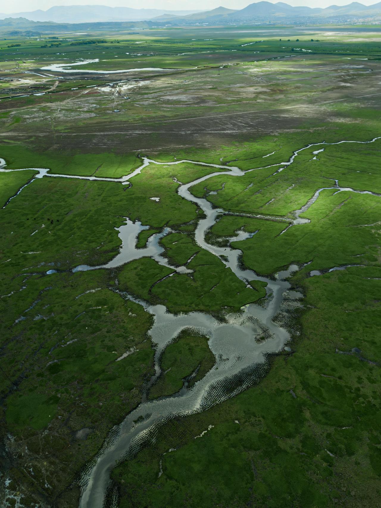 Sulak Alanlar