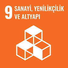 Sanayi, Yenilikçilik ve Altyapı