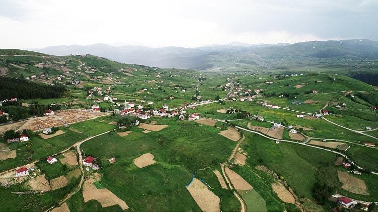 Çambaşı Yaylası