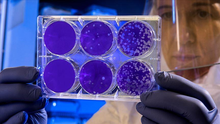 MV Hondius Hantavirus Outbreak (2026) image