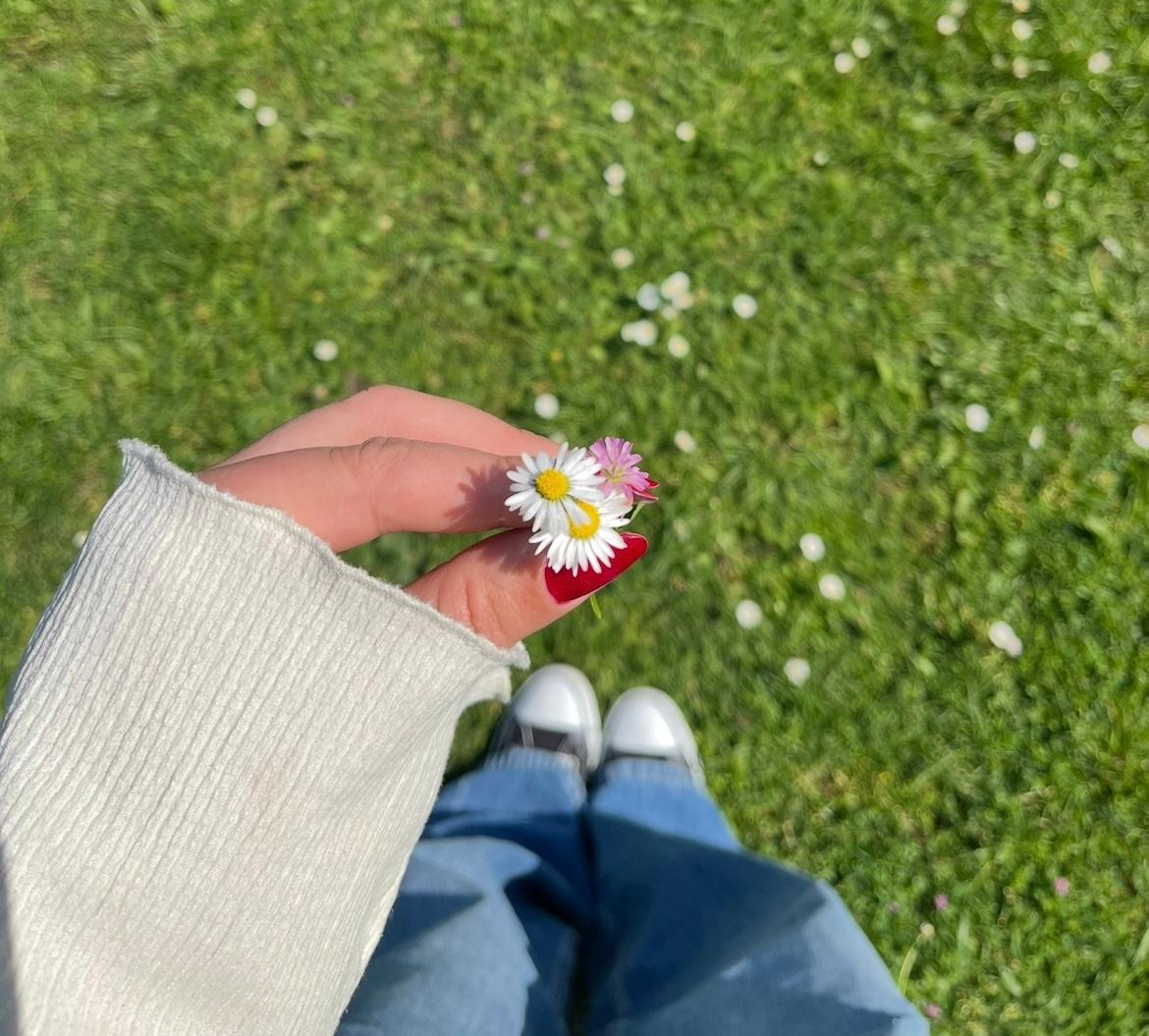 Spring