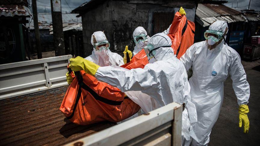 World Health Organization's Declaration of 'Global Emergency' for Ebola image