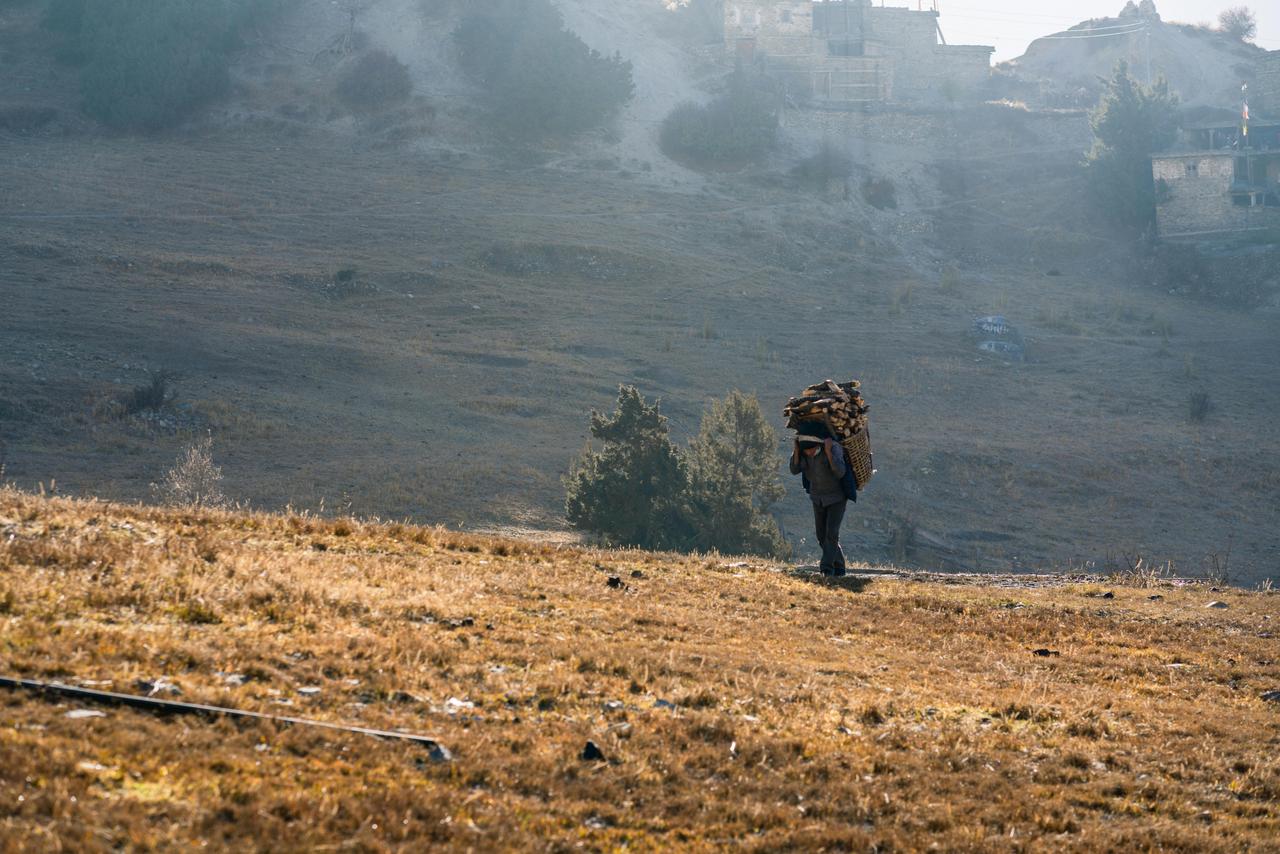 Şerpalar: Himalayalar'ın Zirvesindeki Yaşam, Biyolojik Uyum ve İşgücü Dinamikleri